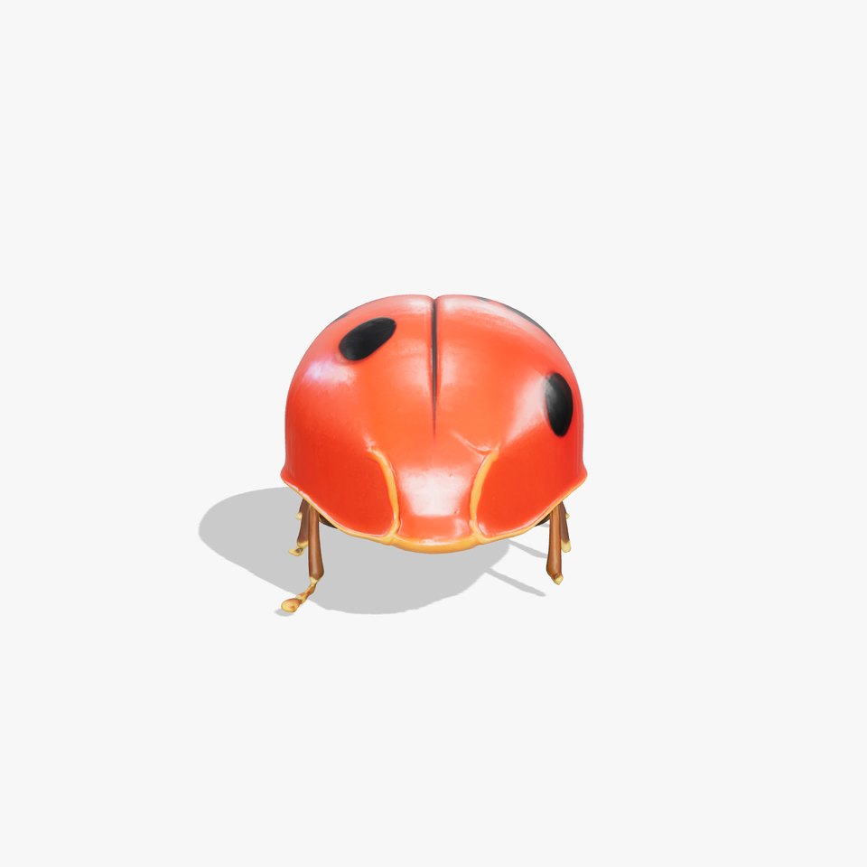 Detailed Ladybug with Glossy Red Elytra model pack